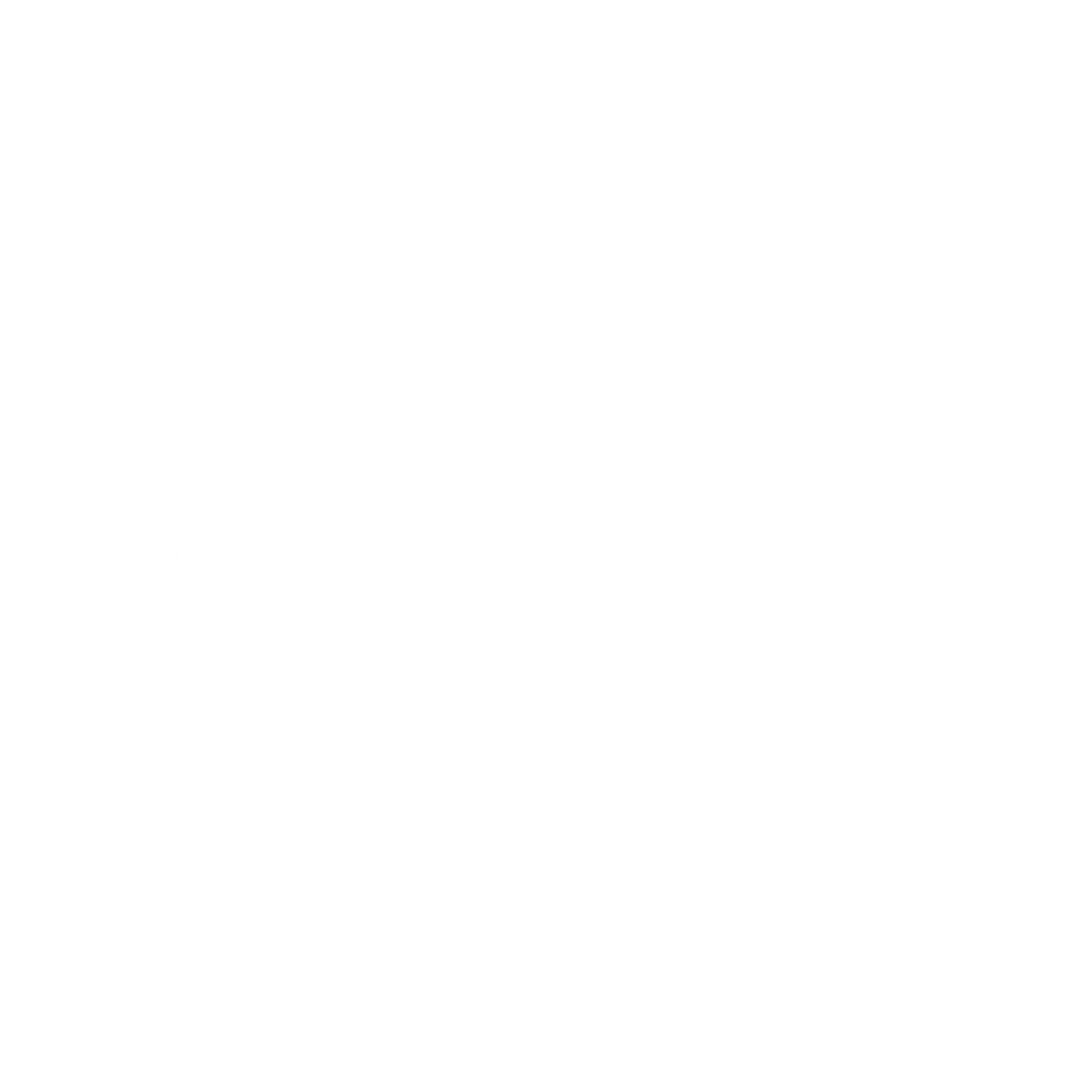 LIVECHAT NS2121